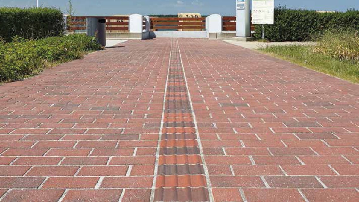 Piroskéktarka, érdes