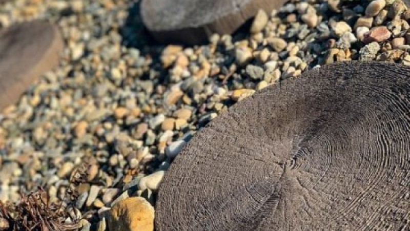 Semmelrock Bradstone Stonewood tipegő